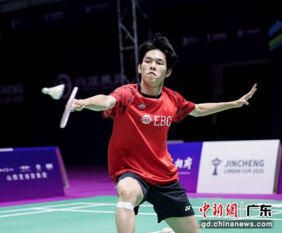 中国羽毛球队绝地反击韩国羽毛球队，林丹关键制胜的简单介绍