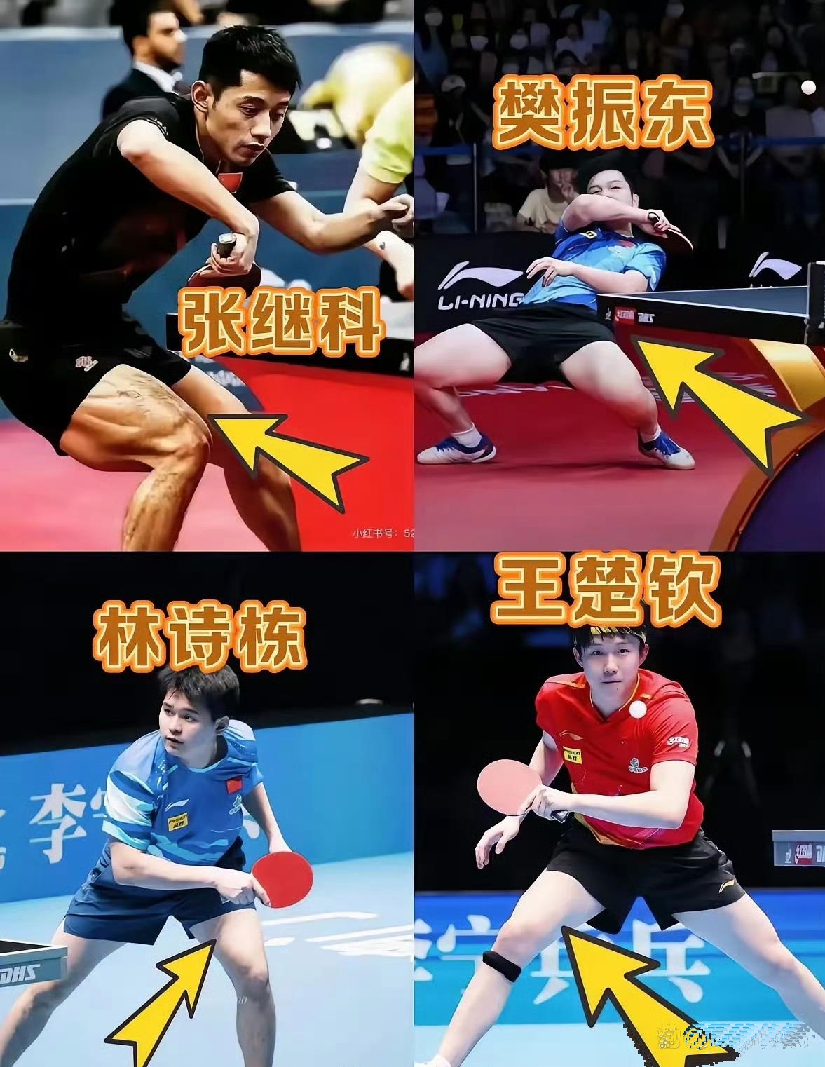 比利时乒乓球队爆冷奥地利乒乓球队,张继科制霸全场的简单介绍 比利时乒乓球队爆冷奥地利乒乓球队,张继科制霸全场的简单介绍