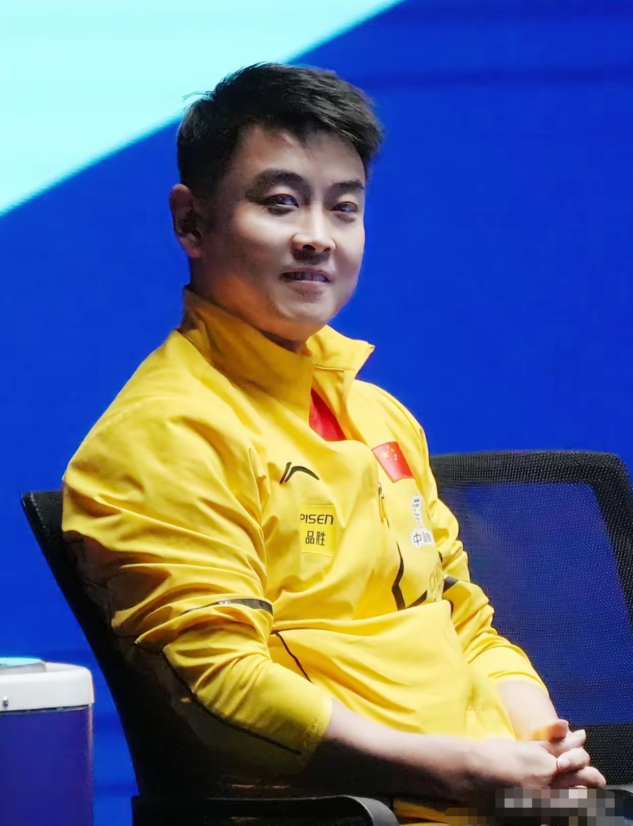 中国乒乓球队血洗瑞典乒乓球队，王皓惊艳世界的简单介绍