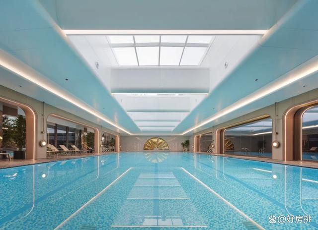 包含游泳赔率刷新纪录，竞猜热度飙升的词条