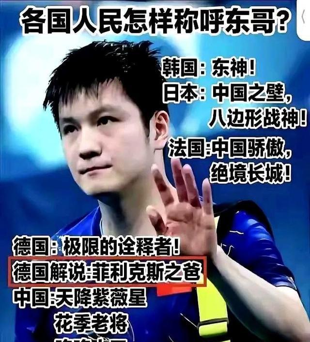 日本队险胜瑞典队,樊振东统治全场 日本队险胜瑞典队,樊振东统治全场