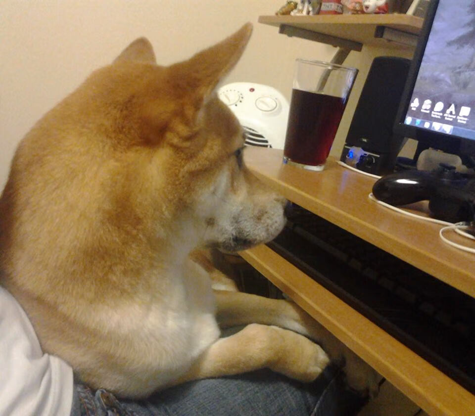 双星耀银石,冰火交响曲,阿斯顿马丁横扫雷诺,维斯塔潘点燃赛场