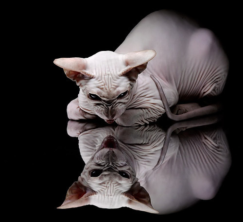 掀翻战车!摩纳哥唯一性胜利背后的德布劳内密码