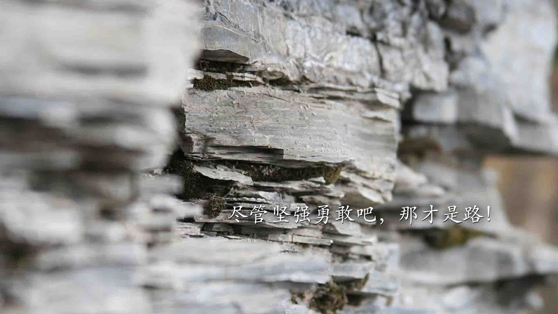 足球世界的震撼日,几内亚强行终结切尔西,德里赫特在德甲接管比赛