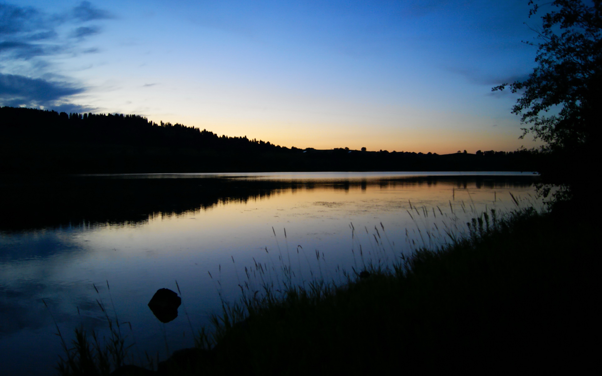 篮球世界排位赛烽火再燃，金州勇士力斩浙江广厦锁定关键积分