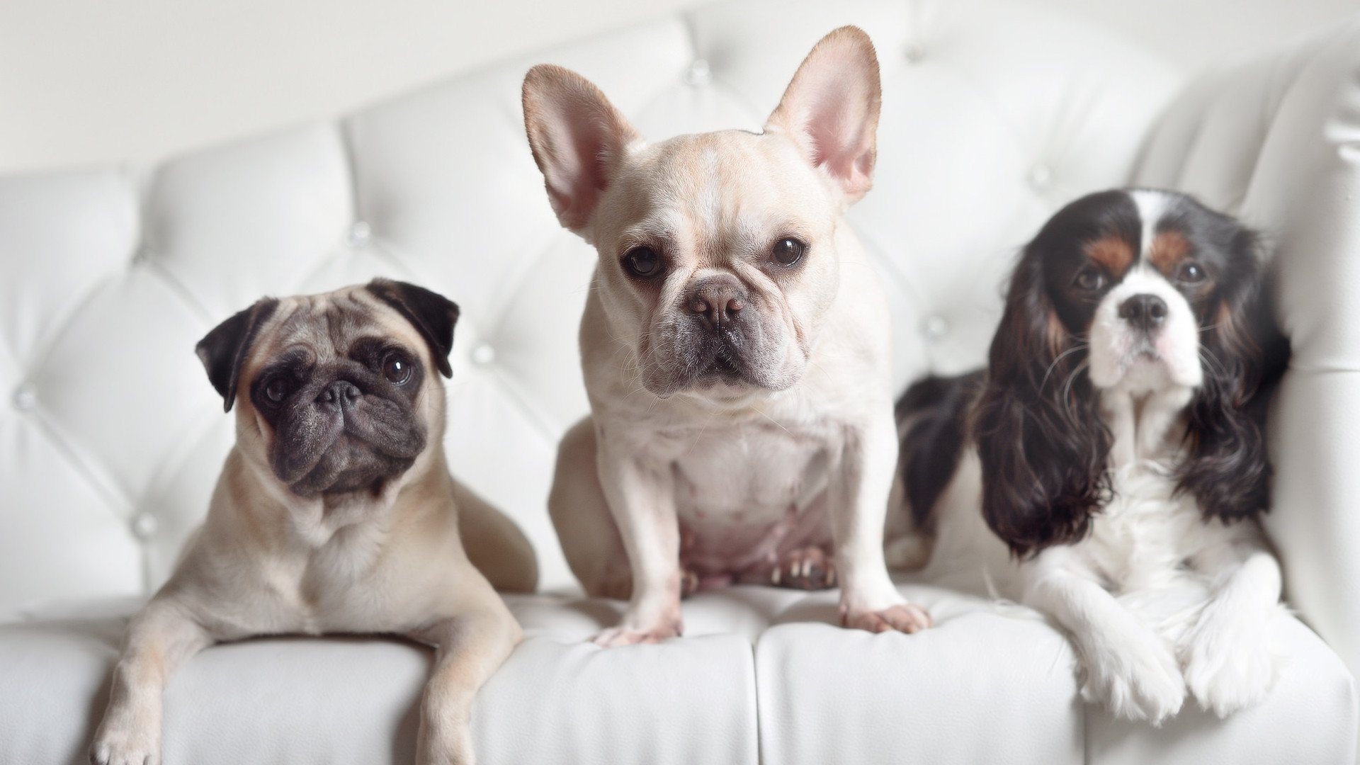 审判日，若日尼奥用一记点球完成对乌克兰的终极审判与自我救赎