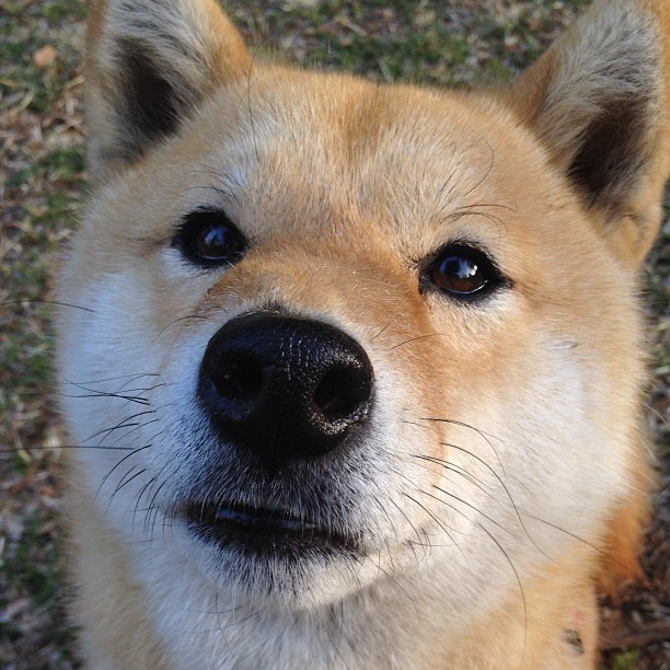 商业与体育的交汇点，奥运周期前的曼城与卡塔尔之战