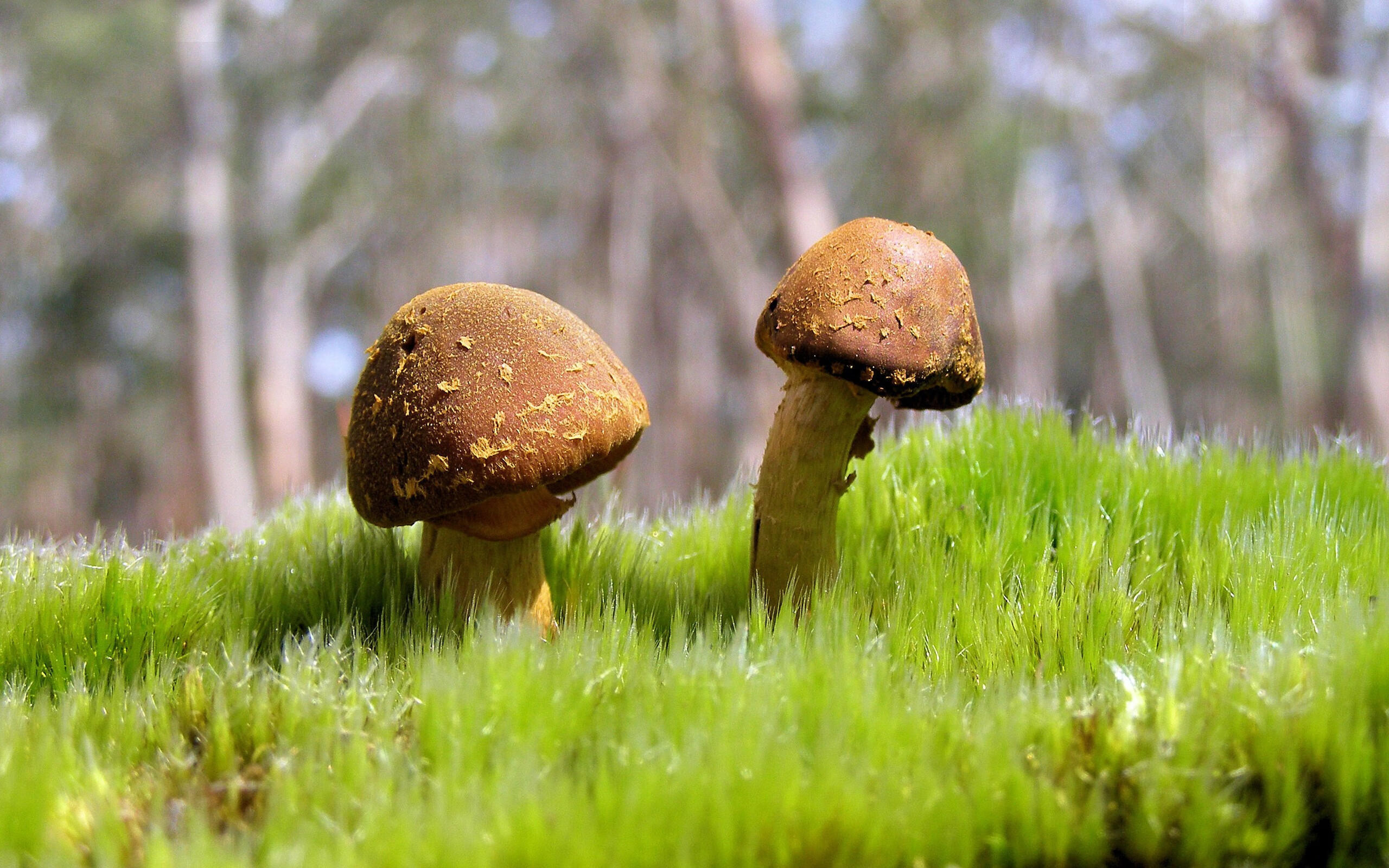 弯道，当赛车大脑与篮球思维在数据洪流中对撞