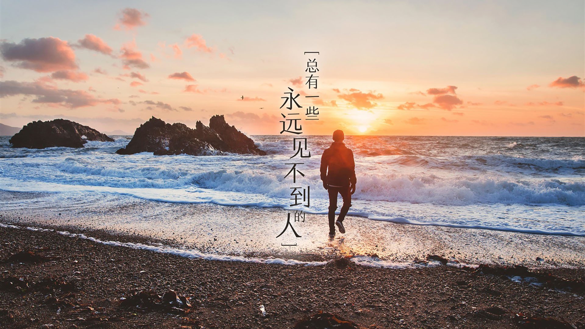 击碎预言，霍勒迪如何在篮网撕裂开拓者的夜晚，重新定义季后赛接管