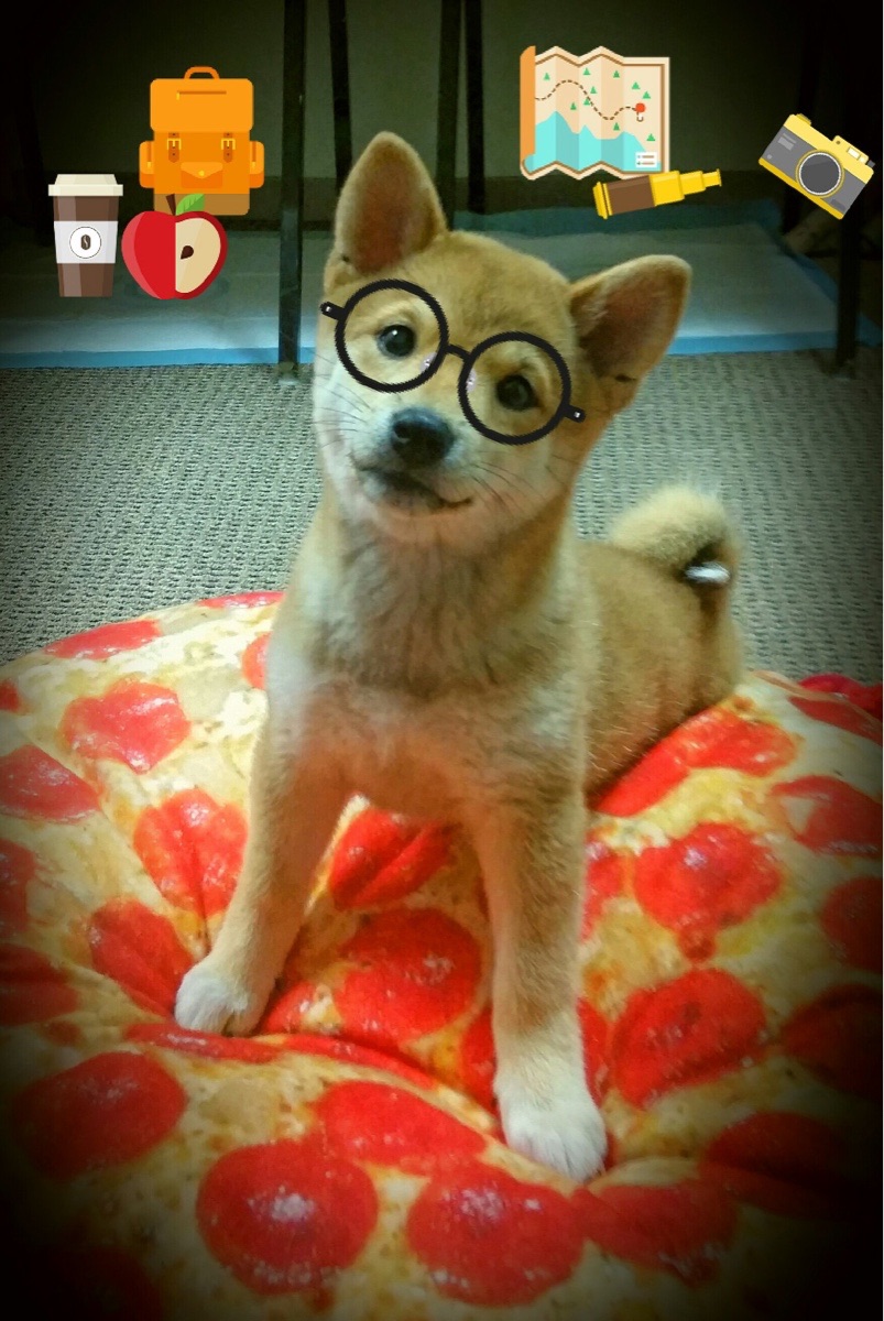 非洲雄鹰终翱翔，绿茵传奇永不熄—尼日利亚制霸卡塔尔，莫德里奇以舞告别