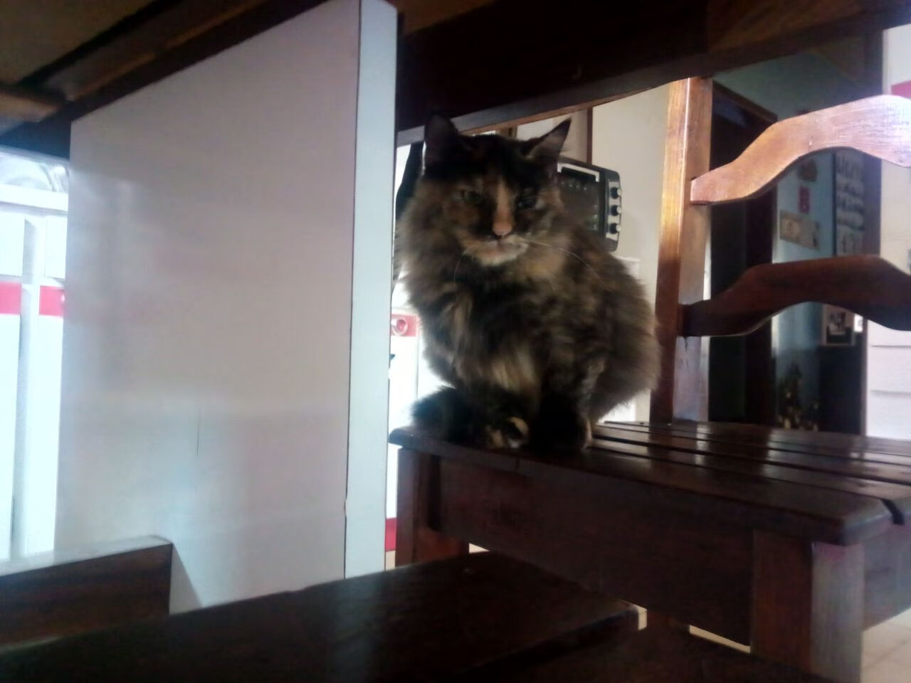 零点四秒，一球定音，当杜兰特不再是死神，而是唯一的计时器