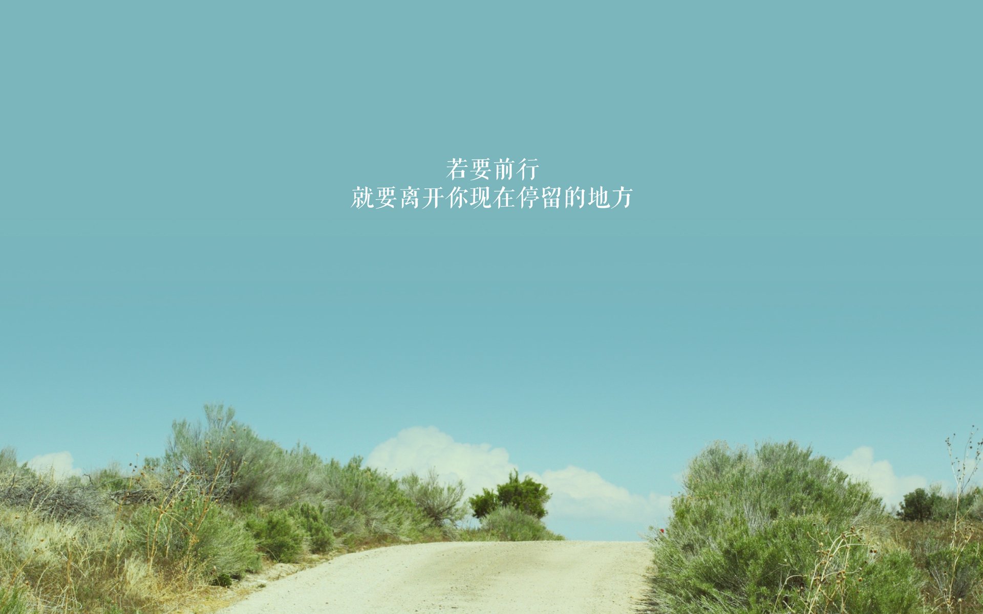 黑马狂奔,2026世界杯硝烟初起,罗马尼亚掀翻乌兹别克斯坦,塔雷米独造神话之夜