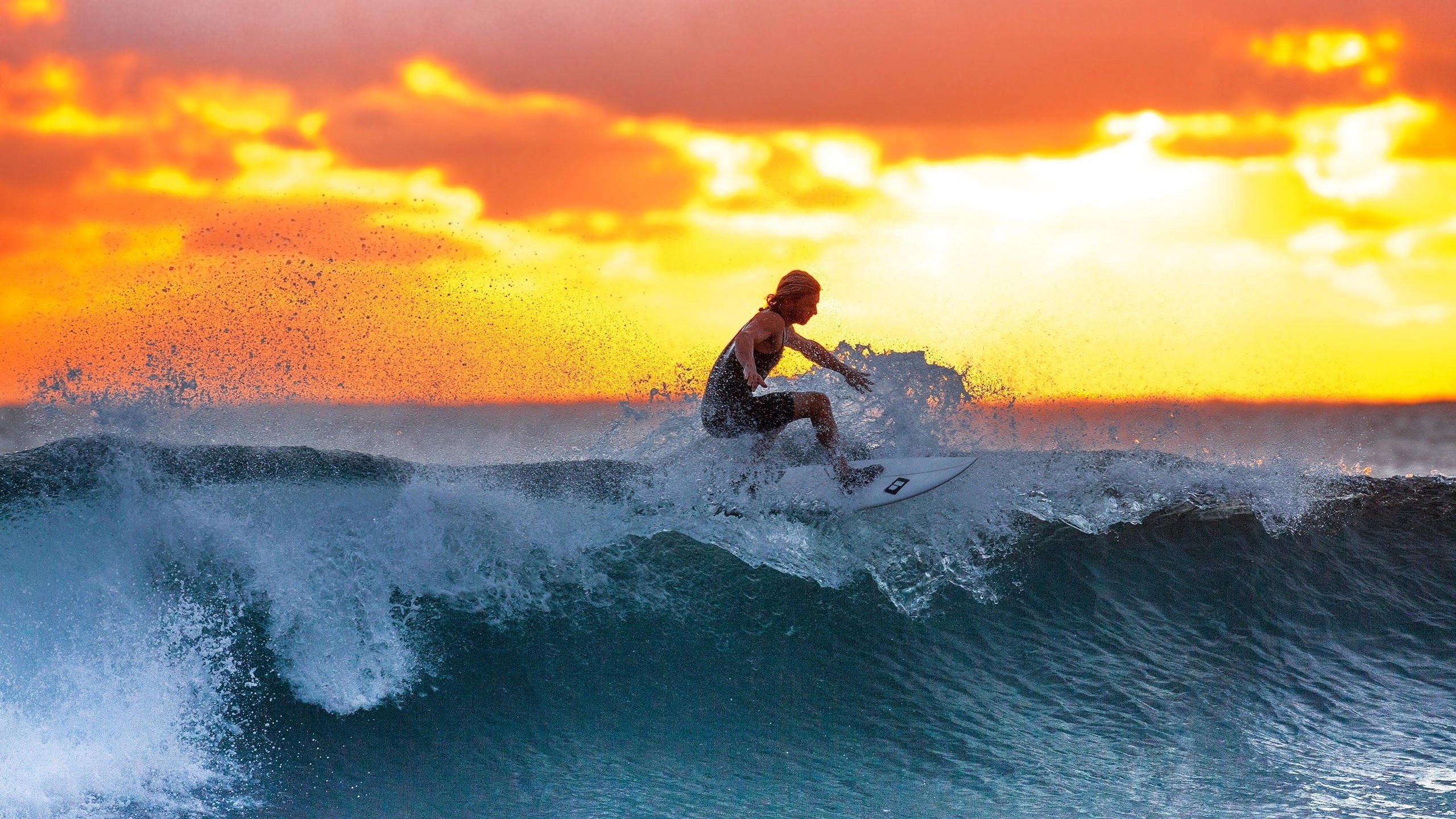 绿茵场的孤勇,2026世界杯H组,伊朗力克巴西,巴雷拉用硬核对决书写唯一神话
